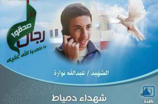 شهداء دمياط