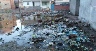 الوسطانى تغلى بسبب انتشار القمامة ومستنقعات مياه الامطار