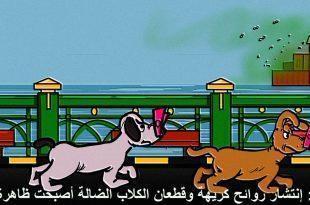 كاريكاتير النافذة